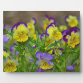 Cheery Viola Plaque Fotoplatte (Vorderseite)