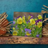 Cheery Viola Plaque Fotoplatte (Seite)