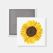 Cheery Yellow Sunflower Magnet (Vorderseite/Rückseite)