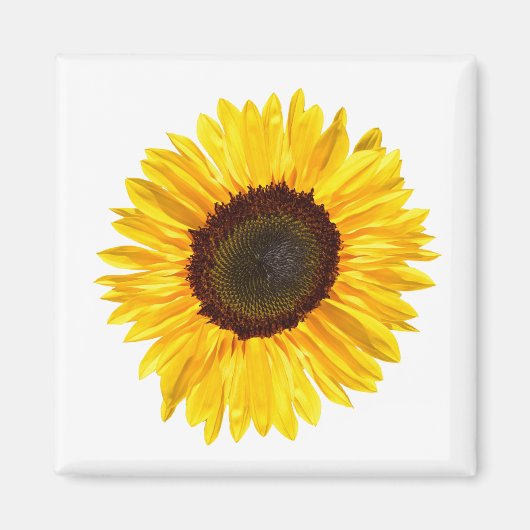 Cheery Yellow Sunflower Magnet (Vorne)