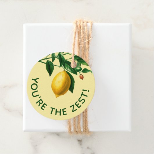 Cheery You are the Zest 🍋 Hand Gezeichnet Lemon Geschenkanhänger (Beispiel)