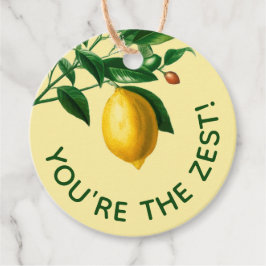 Cheery You are the Zest 🍋 Hand Gezeichnet Lemon Geschenkanhänger