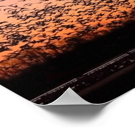 CheerySunset Poster (Ecke)