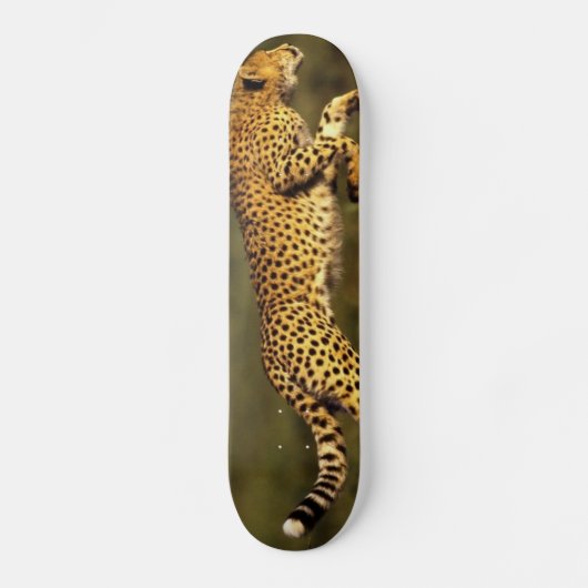 cheeta Art Skateboard (Vorderseite)