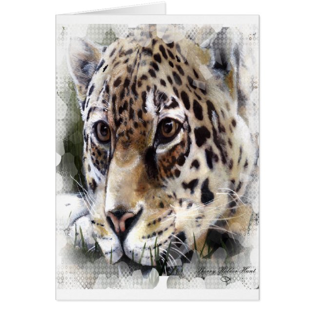 Cheetah (Vorne)