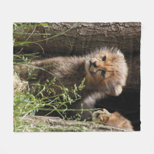 Cheetah 005 fleecedecke (Vorderseite (Horizontal))