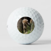 Cheetah 005 golfball (Vorderseite)