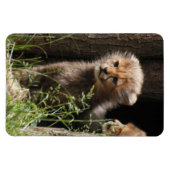 Cheetah 005 magnet (Horizontal)