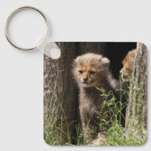 Cheetah 005 schlüsselanhänger (Vorderseite)