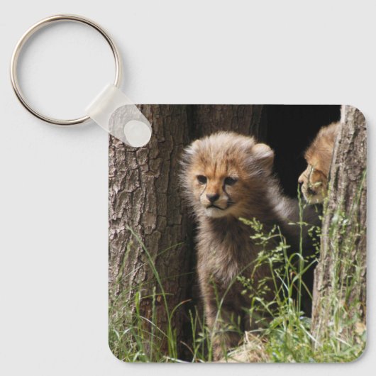 Cheetah 005 schlüsselanhänger (Vorderseite)