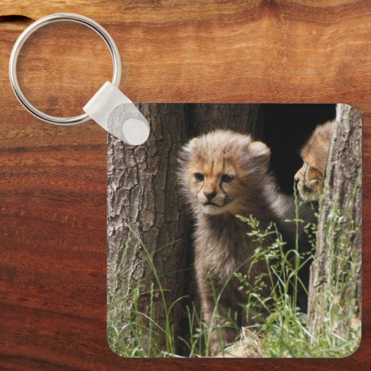 Cheetah 005 schlüsselanhänger (Vorderseite)