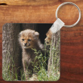 Cheetah 005 schlüsselanhänger (Rückseite)