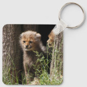 Cheetah 005 schlüsselanhänger (Rückseite)