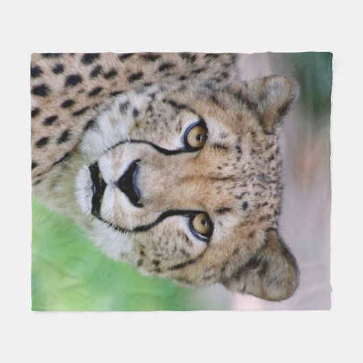 Cheetah 009 fleecedecke (Vorderseite (Horizontal))