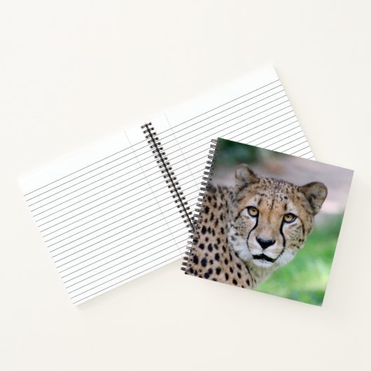 Cheetah 009 notizblock (Innenseite)