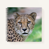 Cheetah 009 notizblock (Vorderseite)