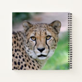 Cheetah 009 notizblock (Rückseite)