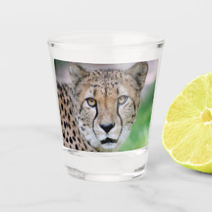 Cheetah 009 schnapsglas