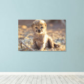 Cheetah 19 Tage alter männlicher Becher Leinwanddruck (Insitu (Holzboden))