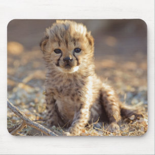 Cheetah 19 Tage alter männlicher Becher Mousepad