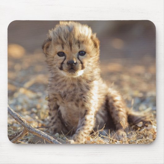Cheetah 19 Tage alter männlicher Becher Mousepad (Vorne)