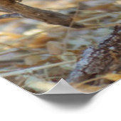 Cheetah 19 Tage alter männlicher Becher Poster (Ecke)