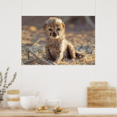 Cheetah 19 Tage alter männlicher Becher Poster (Küche)