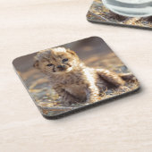 Cheetah 19 Tage alter männlicher Becher Untersetzer (Linke Seite)