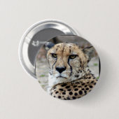 Cheetah-8934e-Bfram Button (Vorne & Hinten)
