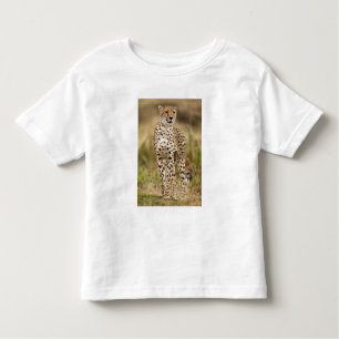 Cheetah, Acinonyx jubatus, im Masai Mara Kleinkind T-shirt