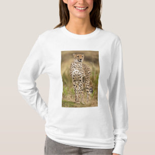 Cheetah, Acinonyx jubatus, im Masai Mara T-Shirt