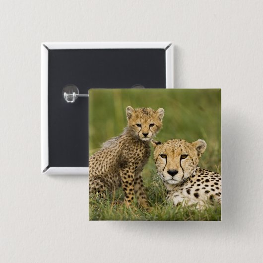 Cheetah, Acinonyx jubatus, mit Cub Button (Vorne & Hinten)