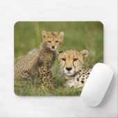 Cheetah, Acinonyx jubatus, mit Cub Mousepad (Mit Mouse)