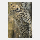 Cheetah, Acinonyx jubatus, mit Krüge im Masai 2 Geschirrtuch (Vertikal)