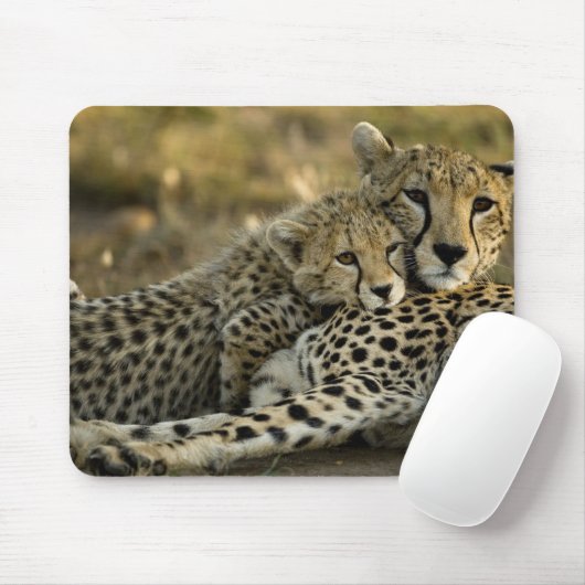 Cheetah, Acinonyx jubatus, mit Krüge im Masai 2 Mousepad (Mit Mouse)