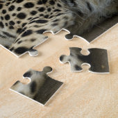 Cheetah, Acinonyx jubatus, mit Krüge im Masai 2 Puzzle (Seite)