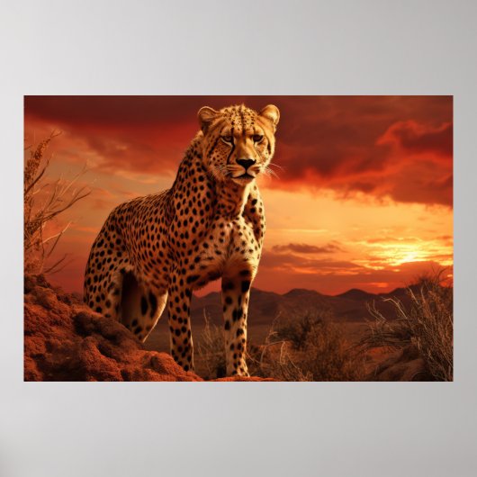 Cheetah Animal Wildlife Wilderness Kunst Poster (Vorne)