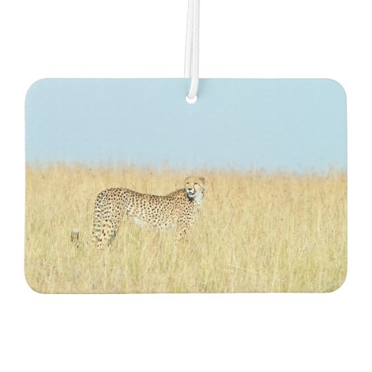 Cheetah Autolufterfrischer (Rückseite)