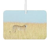 Cheetah Autolufterfrischer (Vorderseite)