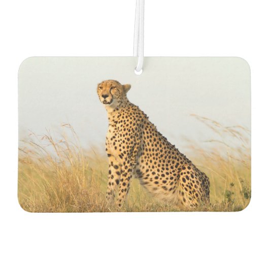 Cheetah Autolufterfrischer (Rückseite)
