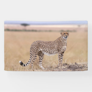 Cheetah Banner