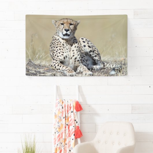 Cheetah Banner (Insitu)