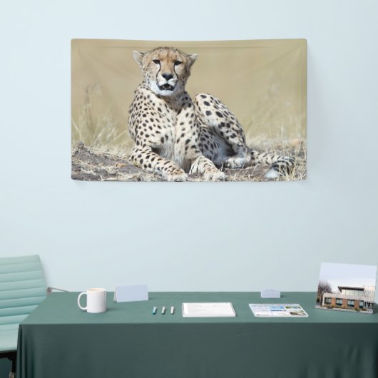 Cheetah Banner (Messeveranstaltung)