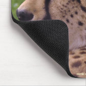 Cheetah Big Cat Wildlife Foto Mousepad (Ecke)