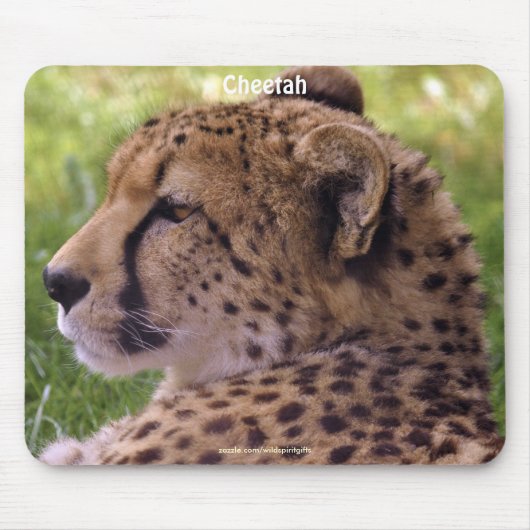 Cheetah Big Cat Wildlife Foto Mousepad (Vorne)