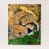 Cheetah Big Cats. Jigsaw Puzzle (Vertikal)