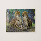 Cheetah Big Cats. Puzzle (Horizontal)
