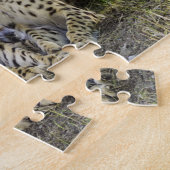 Cheetah Big Cats. Puzzle (Seite)