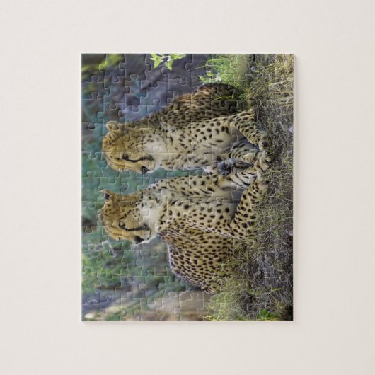 Cheetah Big Cats. Puzzle (Vertikal)