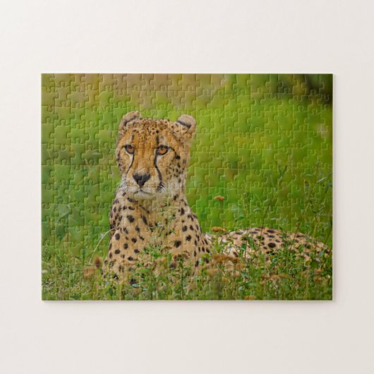Cheetah Big Cats. Puzzle (Horizontal)